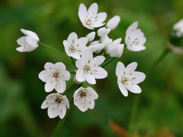 Berkeley Lab Guest House | Berkeley | 3